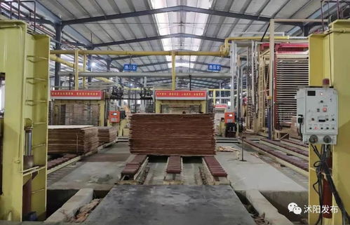 100多名領導干部,專門去了沭陽這些地方,這些事情沭陽人必須要知道