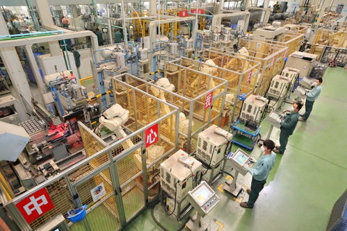 理解城市 嘉興 低調(diào)熱烈