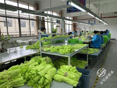 新春新氣象，赤壁服裝企業(yè)設(shè)計(jì)先行，全力沖刺“開門紅”